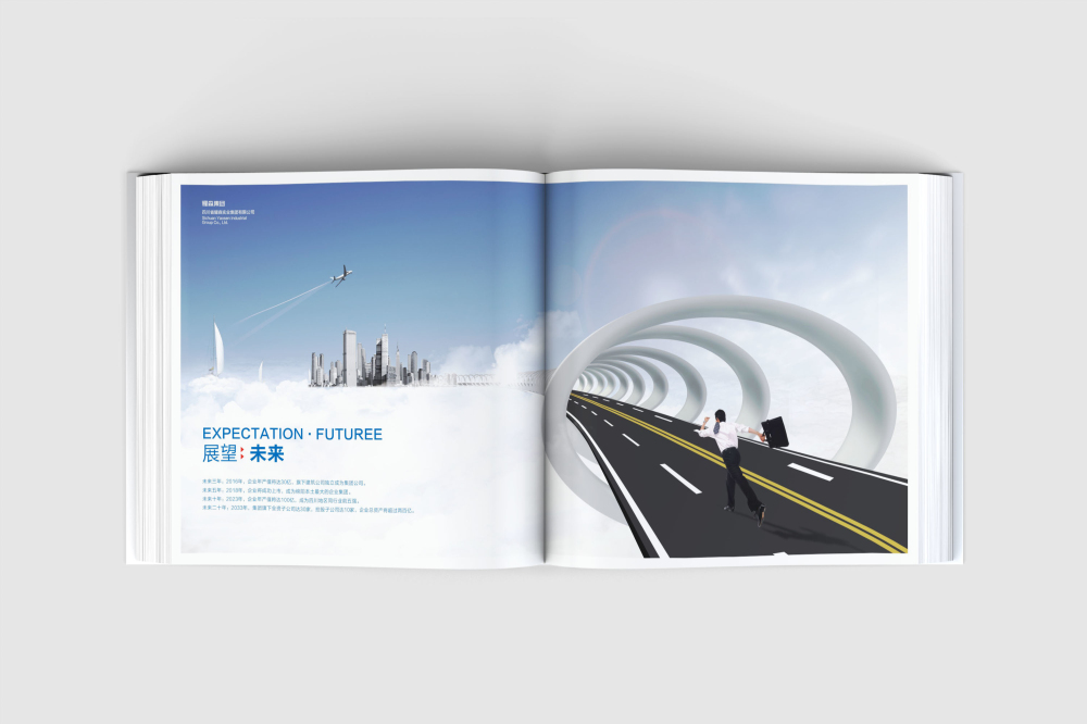 鲤城区画册设计